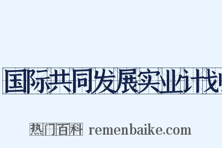 国际共同发展实业计划是什么意思的图片